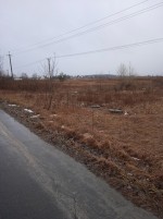 Заліська (пгт. Великая Димерка, Броварской район, Броварський) - Продається сільськогосподарська ділянка, 55000 $ - АФНУ