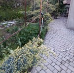 ул. Галины Петровой (г. Николаев, Заводской район) - Продається будинок, 99999 $ - АФНУ