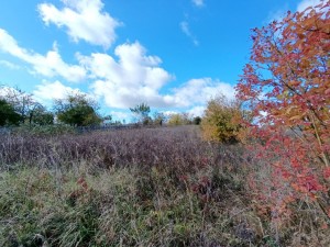 СТ Іскра (г. Хмельницкий, книжківці) - Продається сільськогосподарська ділянка, 3600 $ - АФНУ